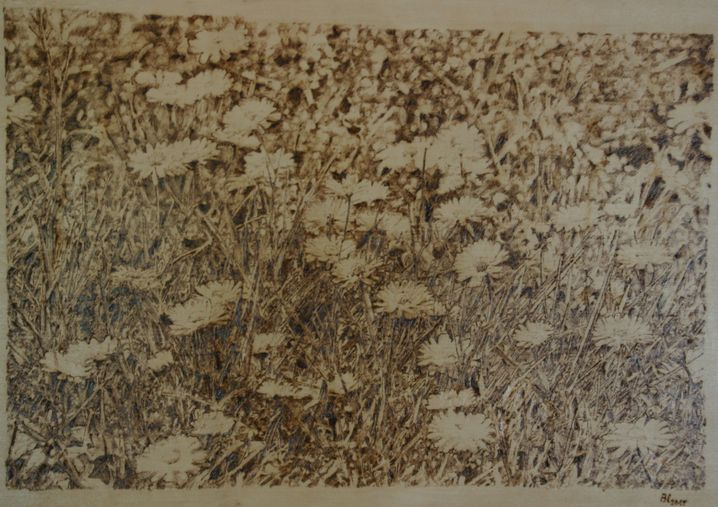 Gänseblümchen Brandmalerei